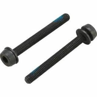 44 mm screws for rear mounting Campagnolo 35-39 mm (x2)