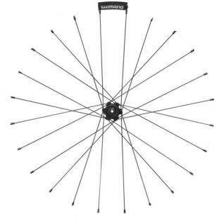 Left spokes Shimano WH-RS31-R